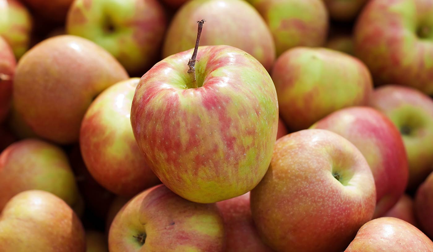 Honeycrisp Apples